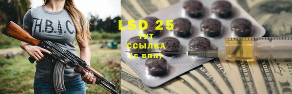 спайс Няндома