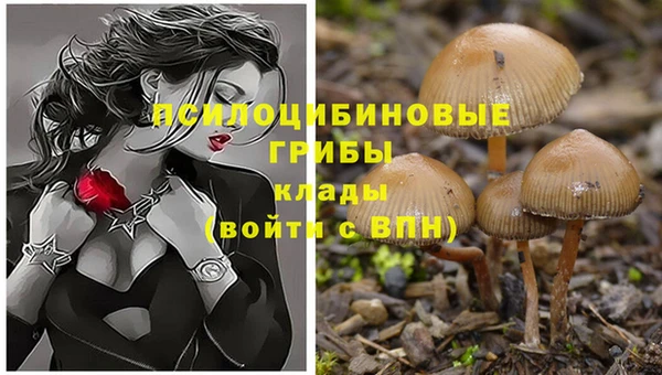 спайс Няндома