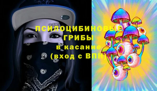 спайс Няндома