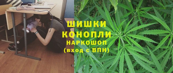 дживик Нязепетровск