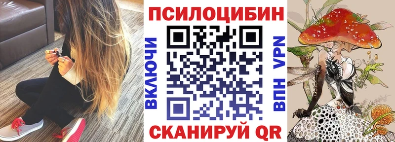 Псилоцибиновые грибы Psilocybine cubensis магазин продажи Слюдянка
