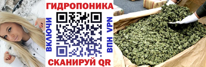 ссылка на мегу как войти  Слюдянка  Шишки марихуана SATIVA & INDICA 